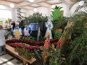 IMG_6450
