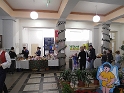 IMG_6451