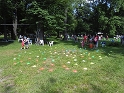 IMG_2385