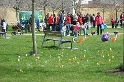 IMG_7225