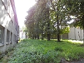 IMG_3244