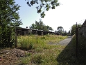IMG_3254