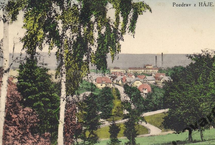 0012-645196469.jpg
