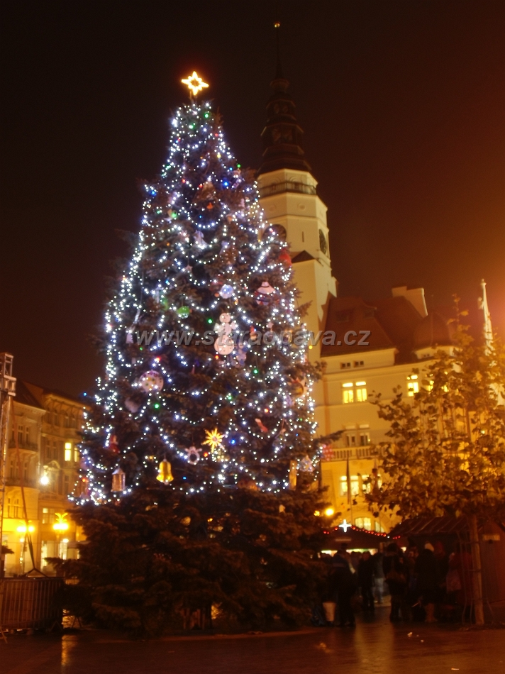 IMG_2519.JPG