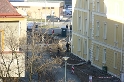 IMG_6445