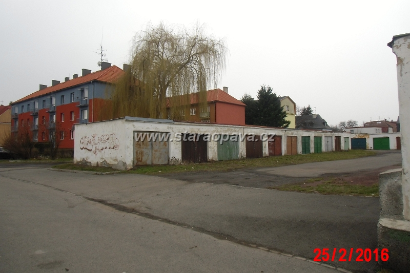 IMG_2686.JPG