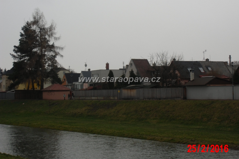 IMG_2733.JPG