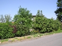 P1010246