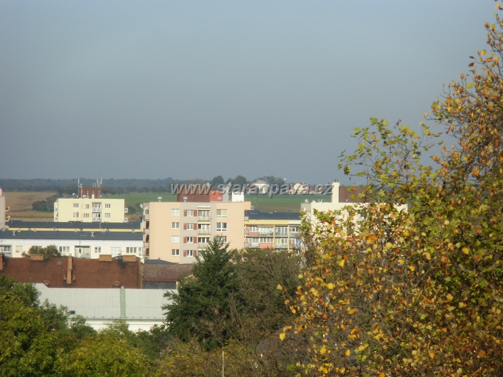 IMG_0142.JPG