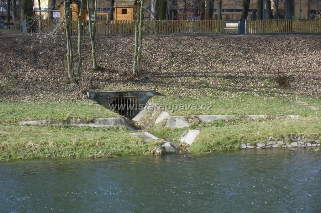 IMG_5389.JPG