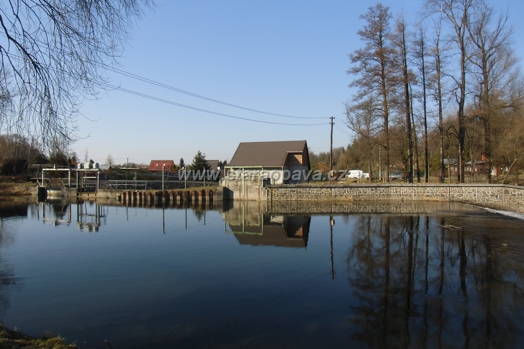 IMG_5804.JPG