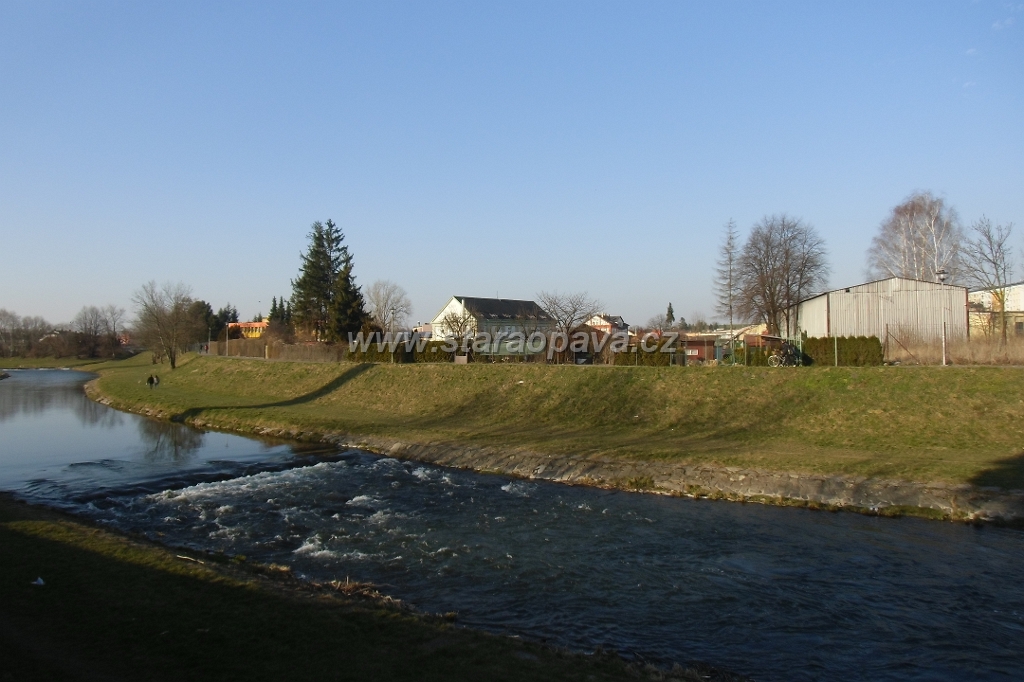 IMG_5885.JPG