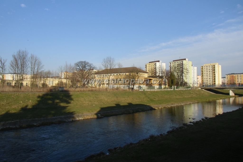 IMG_5887.JPG