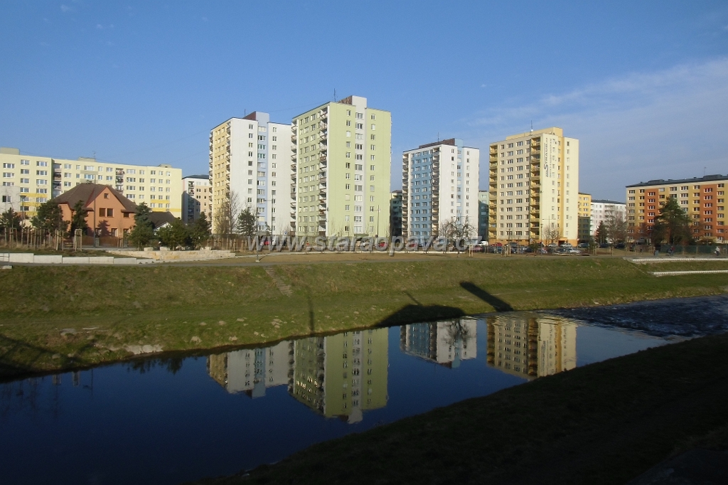 IMG_5895.JPG