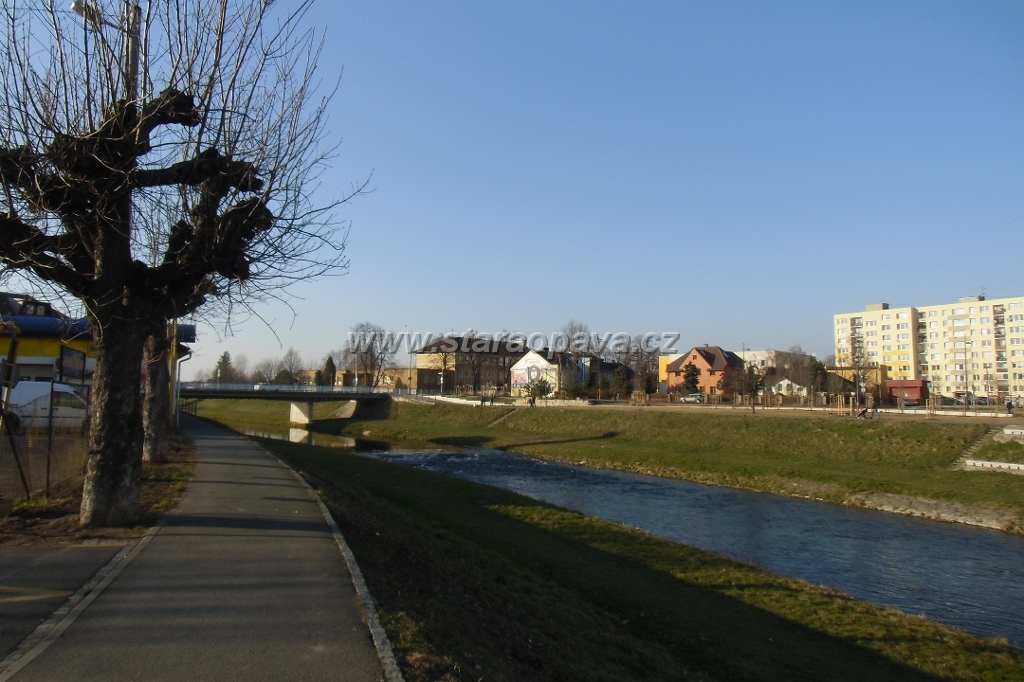 IMG_5905.JPG