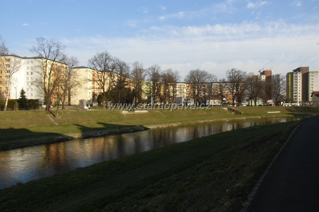 IMG_5909.JPG
