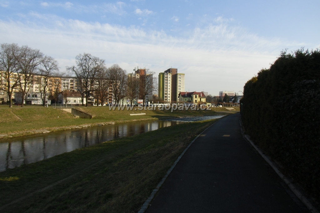 IMG_5914.JPG