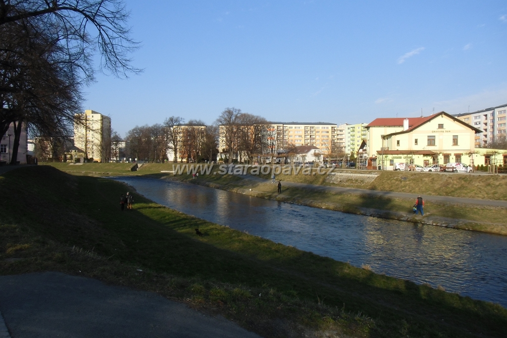 IMG_5924.JPG