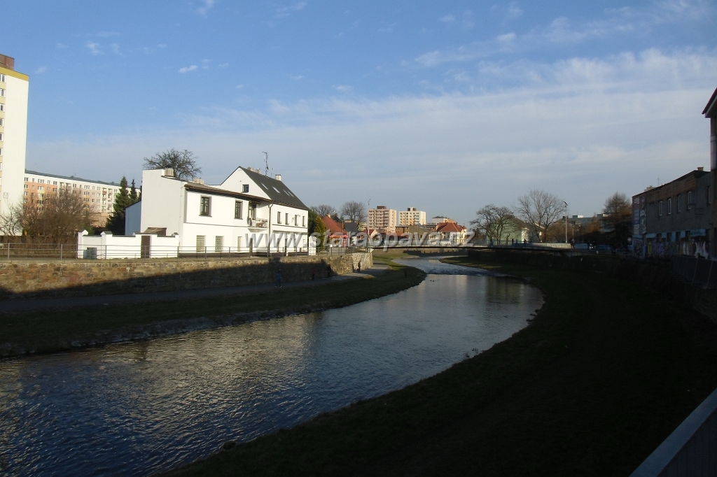 IMG_5931.JPG