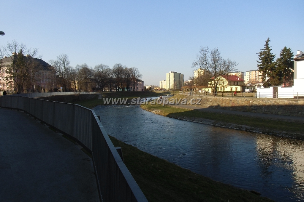IMG_5936.JPG