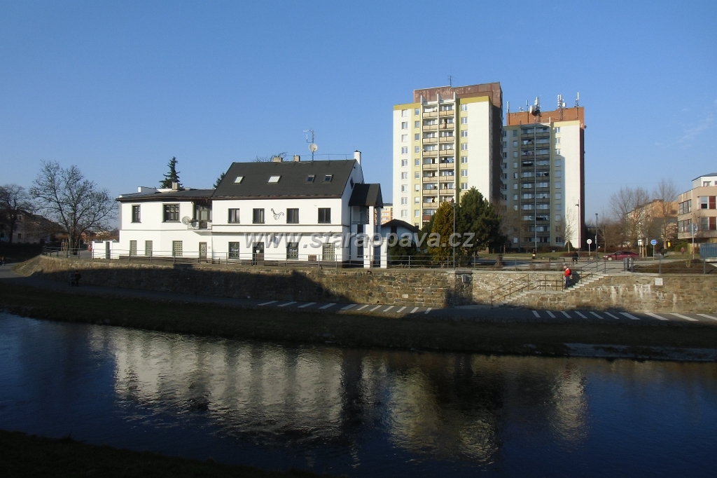 IMG_5938.JPG