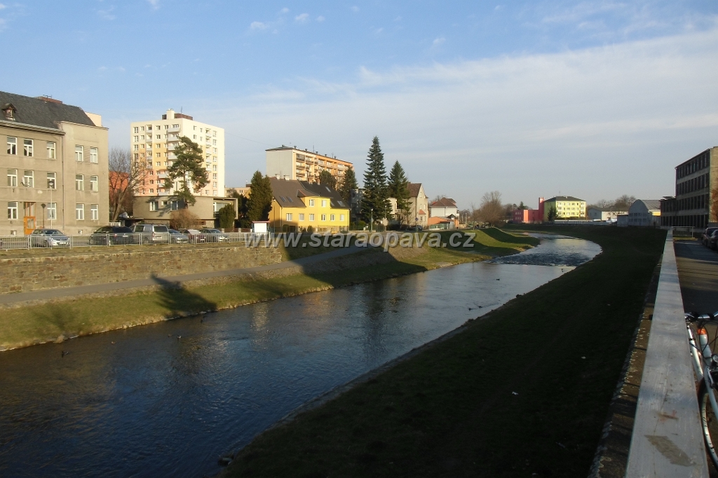 IMG_5967.JPG