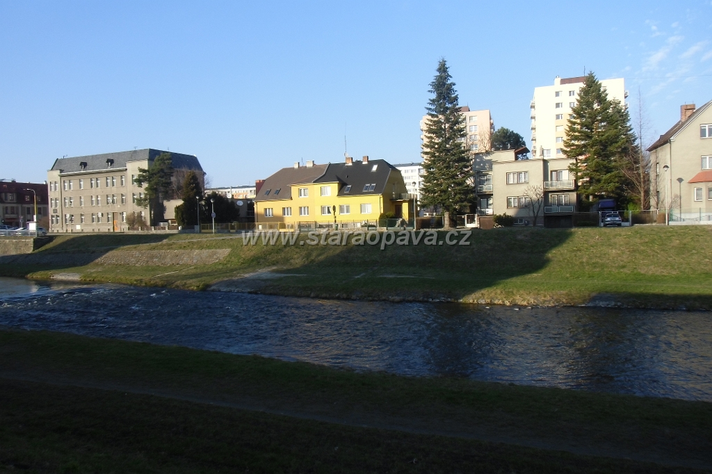 IMG_5972.JPG