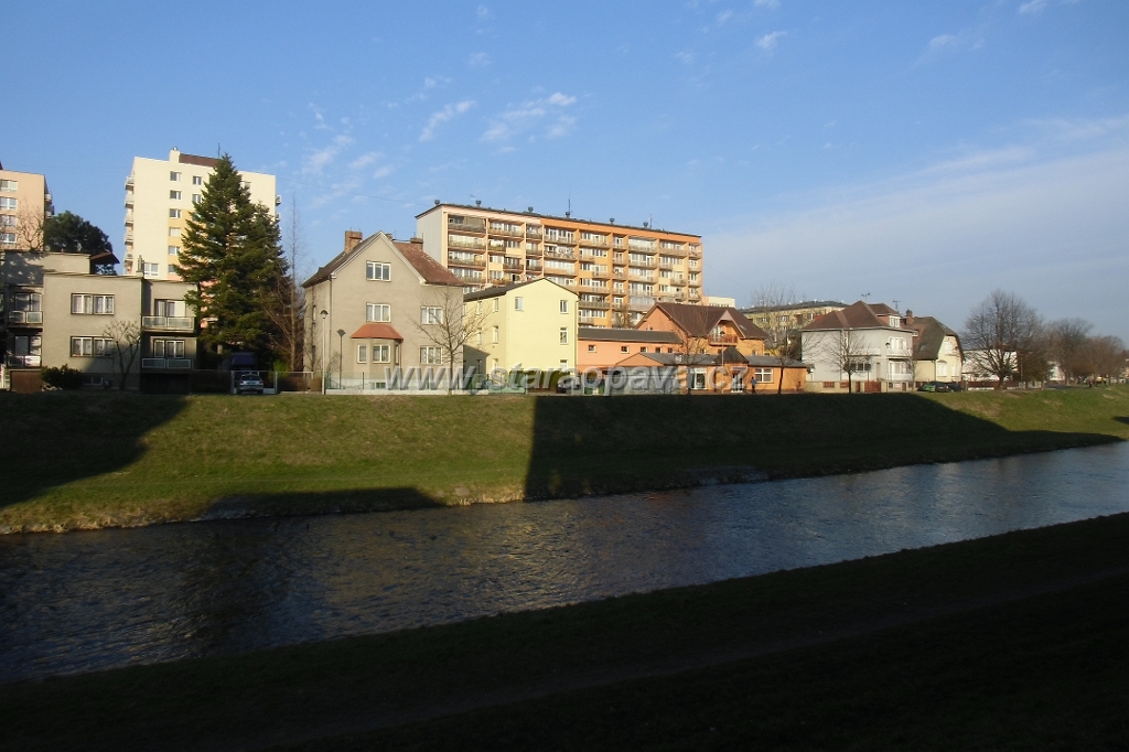 IMG_5973.JPG