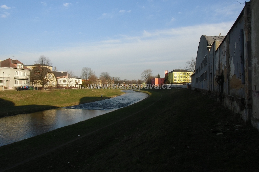IMG_5977.JPG