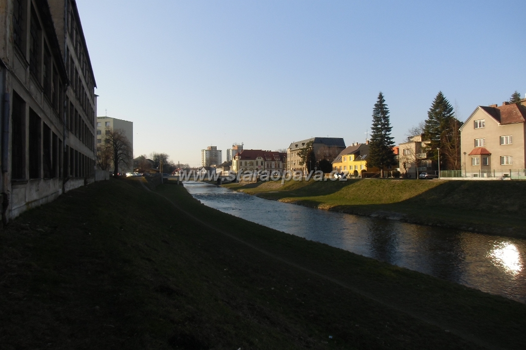 IMG_5979.JPG