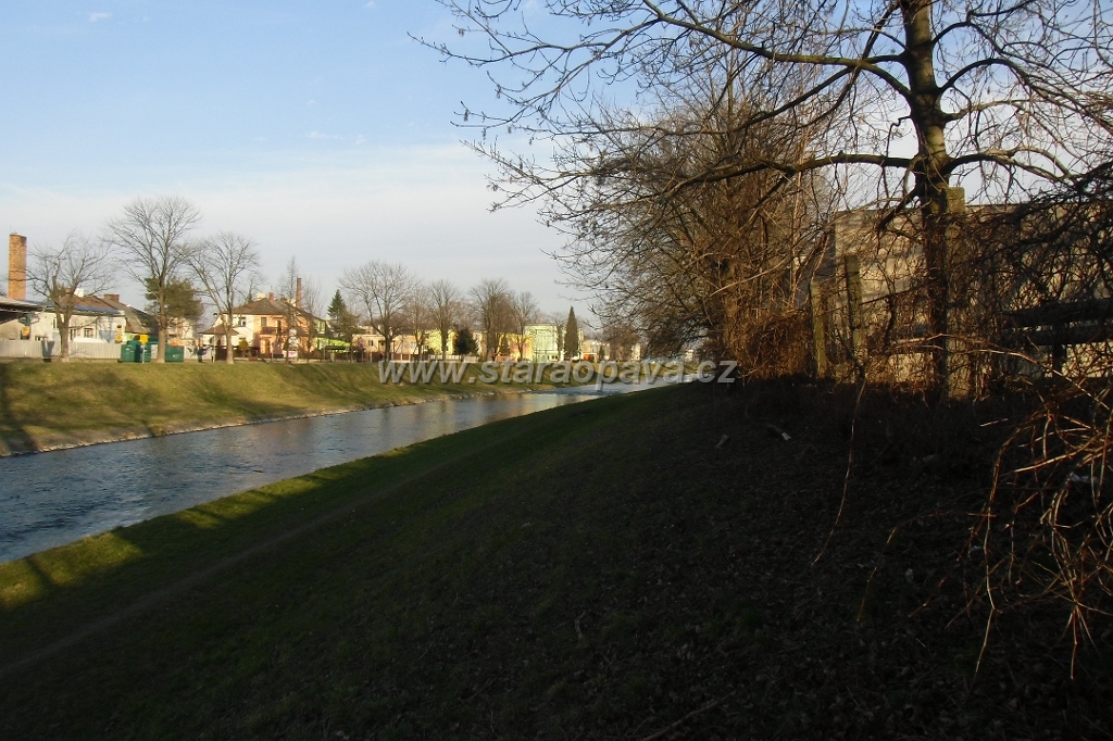 IMG_5993.JPG