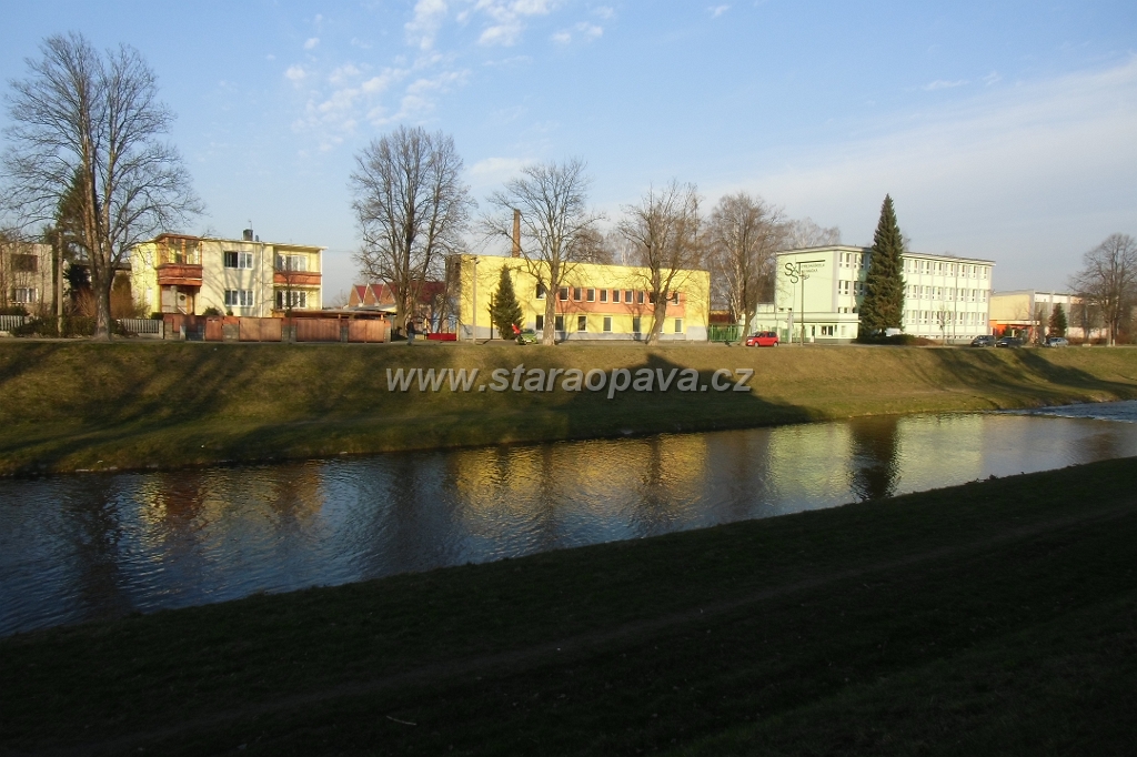 IMG_6003.JPG