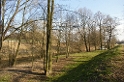 IMG_5813