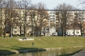 IMG_5904