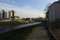 IMG_5918