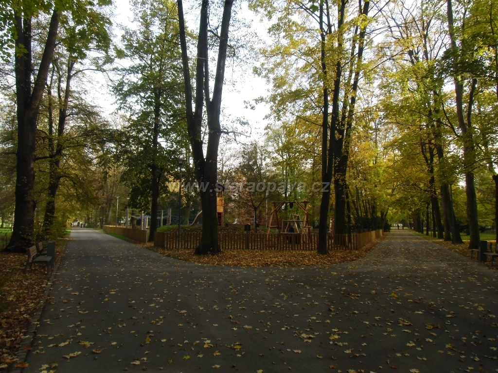 IMG_0559.JPG