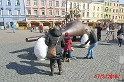 IMG_3471