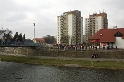 IMG_6350