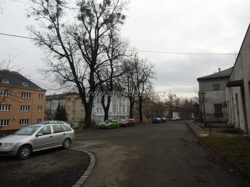IMG_3485.JPG