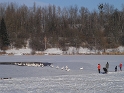 IMG_7098