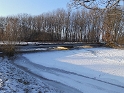 IMG_7101